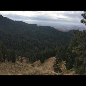 Meet your Posher, Timothy